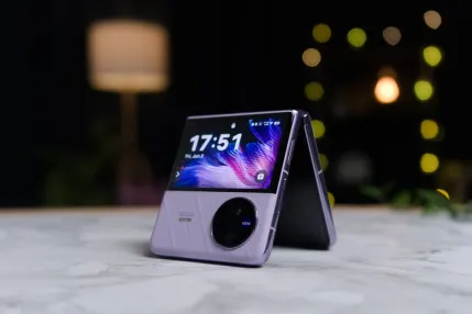 Cazino Jungle Raja Cazinou Aplicație mobilă